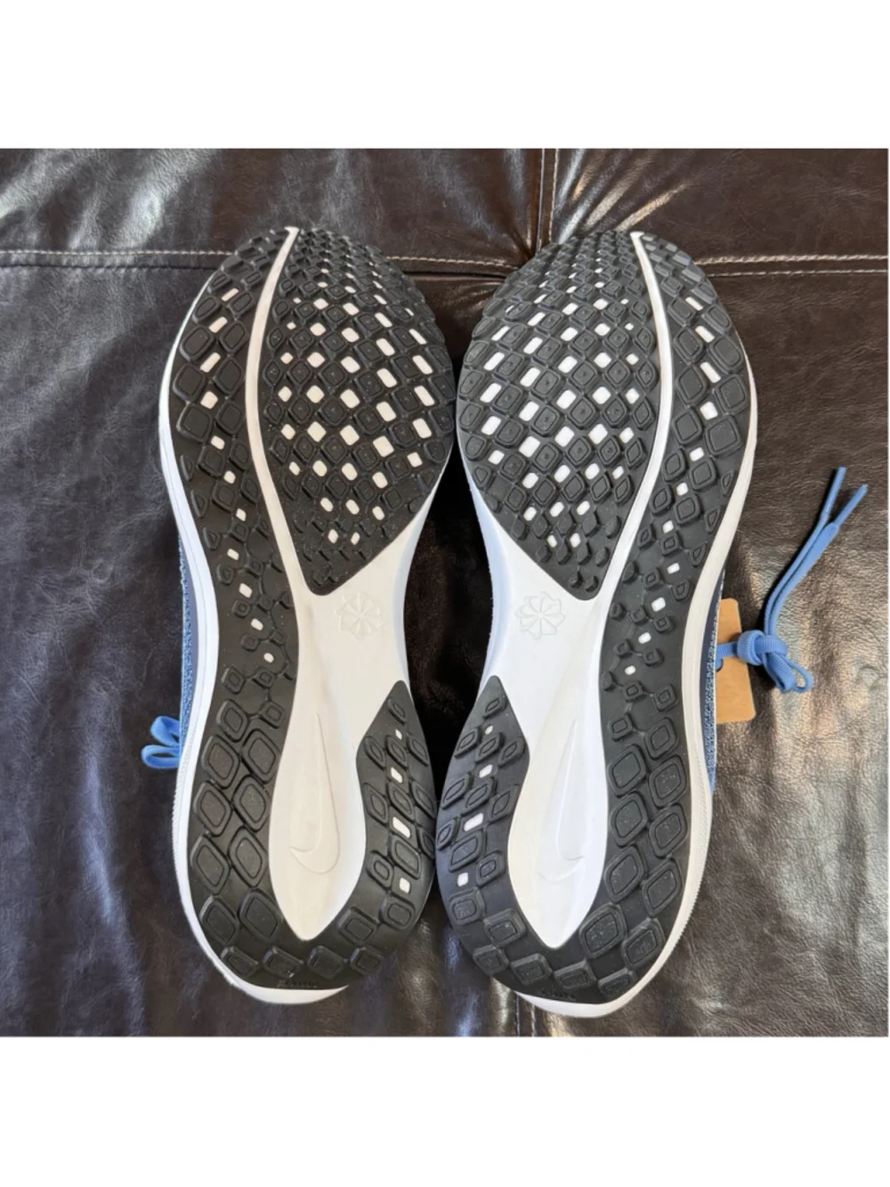 Nike nwt air